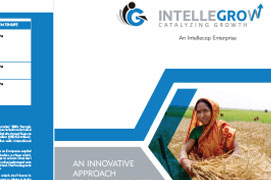 Brochure Design Company Mumbai - Creaa Design