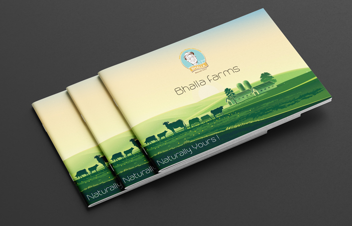 Brochure Design Company Mumbai - Creaa Design