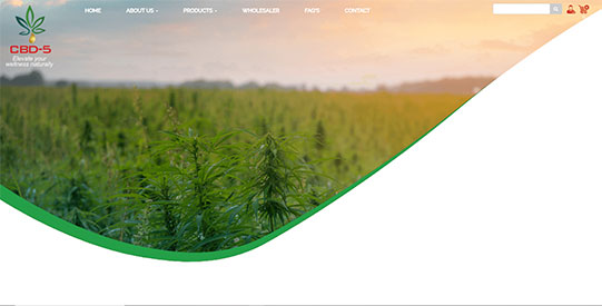 Website Design & Development Company In Mumbai, India Website Design & Development Company In Mumbai, India